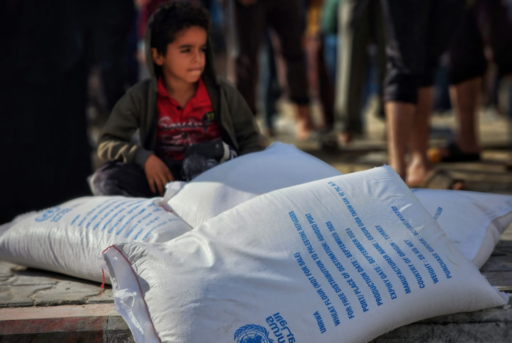 ‘Violating the Genocide Convention’ – UN Special Rapporteur Slams UNRWA Defunding