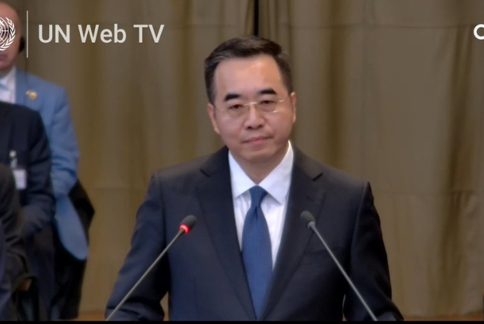 Palestinians have Right to Armed Struggle – Chinese Envoy to ICJ (VIDEO)