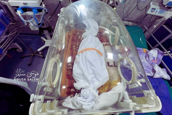 ‘Moral, Humanitarian Test’ – Six Children Dead in Gaza Due to ...