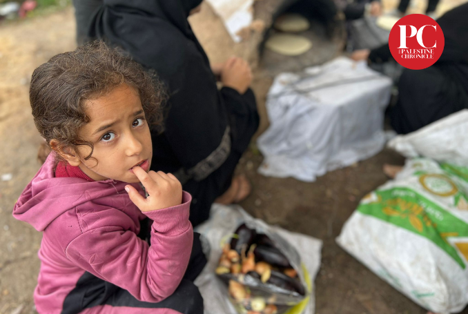 ‘Dizzy, Tired, Exhausted’ – How Palestinians in Gaza Speak about the Widespread Famine